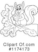Squirrel Clipart #1174173 by visekart