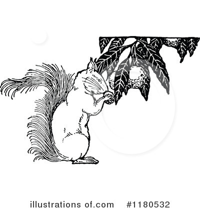 Royalty-Free (RF) Squirrel Clipart Illustration by Prawny Vintage - Stock Sample #1180532