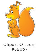 Squirrel Clipart #32067 by Alex Bannykh