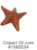 Starfish Clipart #1585534 by dero