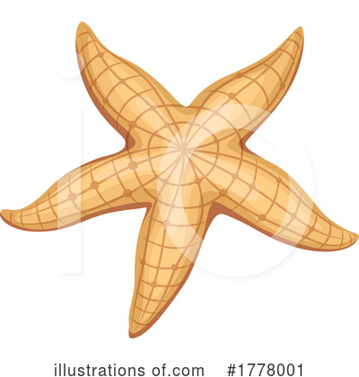 Starfish Clipart #1778001 by Vector Tradition SM