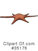 Starfish Clipart #35176 by dero