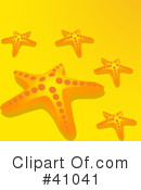Starfish Clipart #41041 by elaineitalia