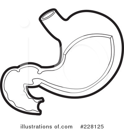 Stomach Clipart #228125 by Lal Perera