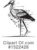 Stork Clipart #1522428 by xunantunich