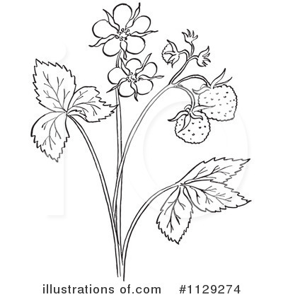 Botany Clipart #1129274 by Picsburg