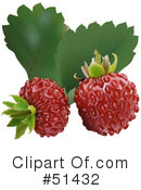 Strawberry Clipart #51432 by dero