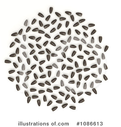 Royalty-Free (RF) Sunflower Seeds Clipart Illustration by Leo Blanchette - Stock Sample #1086613