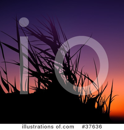 Royalty-Free (RF) Sunset Clipart Illustration by dero - Stock Sample #37636