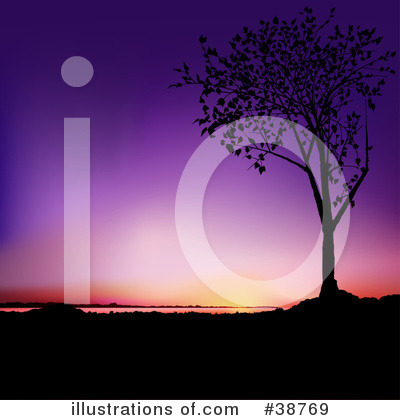 Tree Clipart #38769 by dero