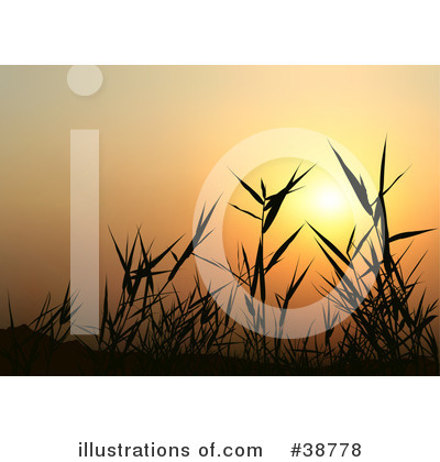 Sunrise Clipart #38778 by dero