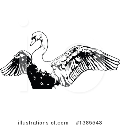 Royalty-Free (RF) Swan Clipart Illustration by dero - Stock Sample #1385543