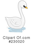 Swan Clipart #230020 by BNP Design Studio
