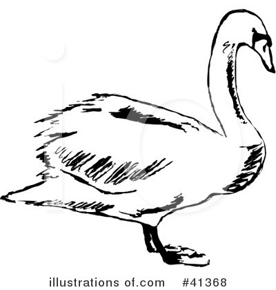 Royalty-Free (RF) Swan Clipart Illustration by Prawny - Stock Sample #41368