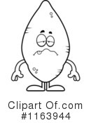 Sweet Potato Clipart #1163944 by Cory Thoman