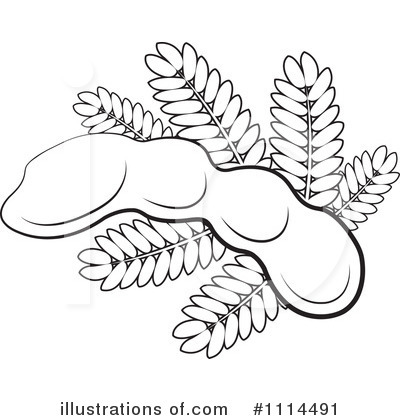 Tamarind Clipart #1114491 by Lal Perera