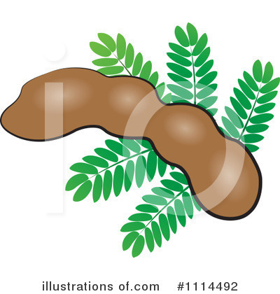 Royalty-Free (RF) Tamarind Clipart Illustration by Lal Perera - Stock Sample #1114492