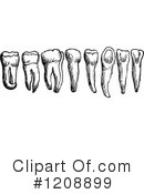Teeth Clipart #1208899 by Prawny Vintage