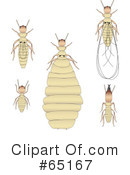 Termite Clipart #65167 by Dennis Holmes Designs