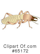 Termite Clipart #65172 by Dennis Holmes Designs