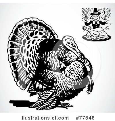 Turkey Bird Clipart #77548 by BestVector