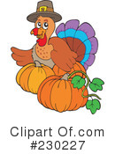 Thanksgiving Turkey Clipart #230227 by visekart