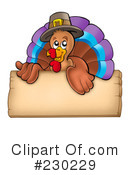 Thanksgiving Turkey Clipart #230229 by visekart