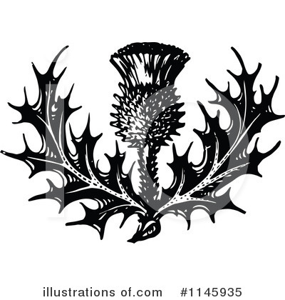 Royalty-Free (RF) Thistle Clipart Illustration by Prawny Vintage - Stock Sample #1145935