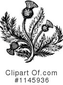 Thistle Clipart #1145936 by Prawny Vintage