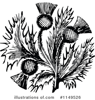 Royalty-Free (RF) Thistle Clipart Illustration by Prawny Vintage - Stock Sample #1149526