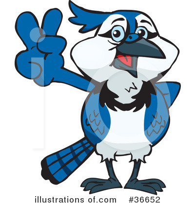 Blue Jay Clipart #36652 by Dennis Holmes Designs