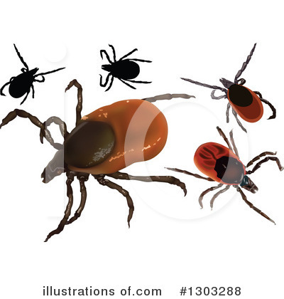 Royalty-Free (RF) Ticks Clipart Illustration by dero - Stock Sample #1303288