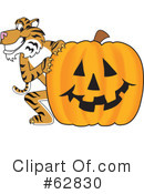 Tiger Character Clipart #62830 by Mascot Junction