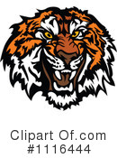 Tiger Clipart #1116444 by Chromaco