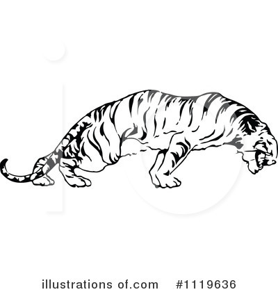 Big Cats Clipart #1119636 by Prawny Vintage