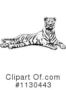 Tiger Clipart #1130443 by Prawny Vintage