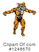 Tiger Clipart #1248670 by AtStockIllustration