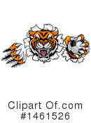 Tiger Clipart #1461526 by AtStockIllustration