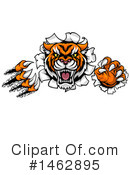 Tiger Clipart #1462895 by AtStockIllustration