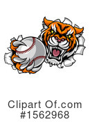 Tiger Clipart #1562968 by AtStockIllustration