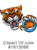 Tiger Clipart #1613086 by AtStockIllustration