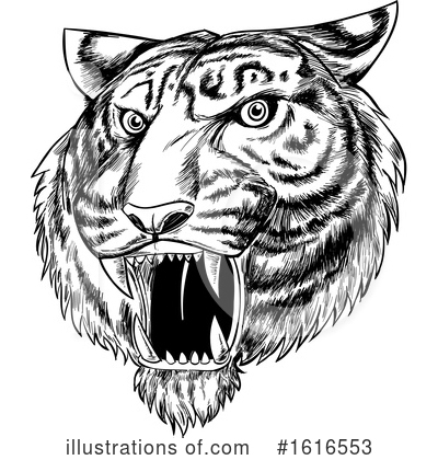 Royalty-Free (RF) Tiger Clipart Illustration by Domenico Condello - Stock Sample #1616553