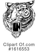 Tiger Clipart #1616553 by Domenico Condello