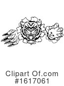 Tiger Clipart #1617061 by AtStockIllustration