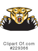 Tiger Clipart #229366 by patrimonio