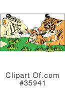Tiger Clipart #35941 by Dennis Holmes Designs