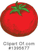 Tomato Clipart #1395677 by Vector Tradition SM