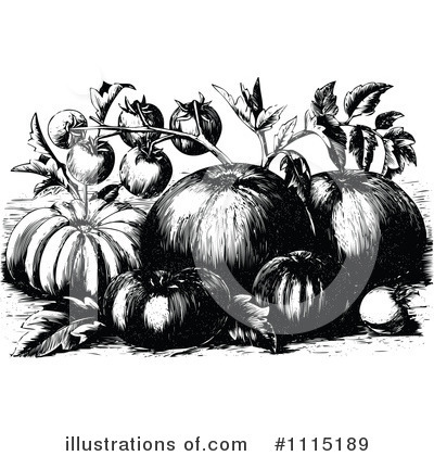 Royalty-Free (RF) Tomatoes Clipart Illustration by Prawny Vintage - Stock Sample #1115189