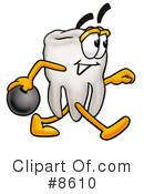 Tooth Clipart #8610 by Mascot Junction