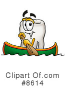 Tooth Clipart #8614 by Mascot Junction